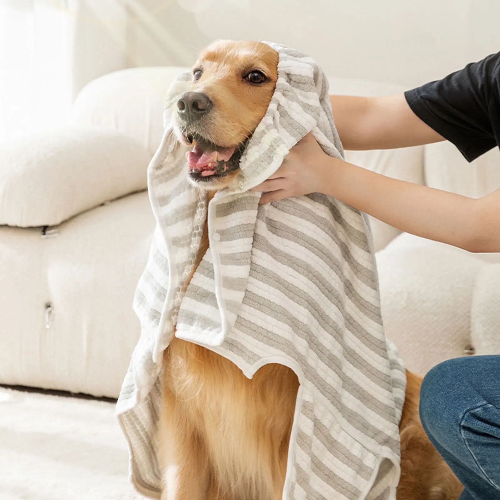 PawfectDry™ - Hundhandduk
