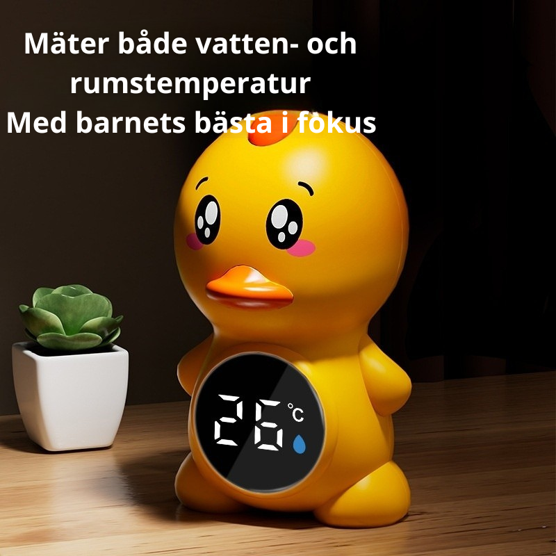 Termometer inne/vatten